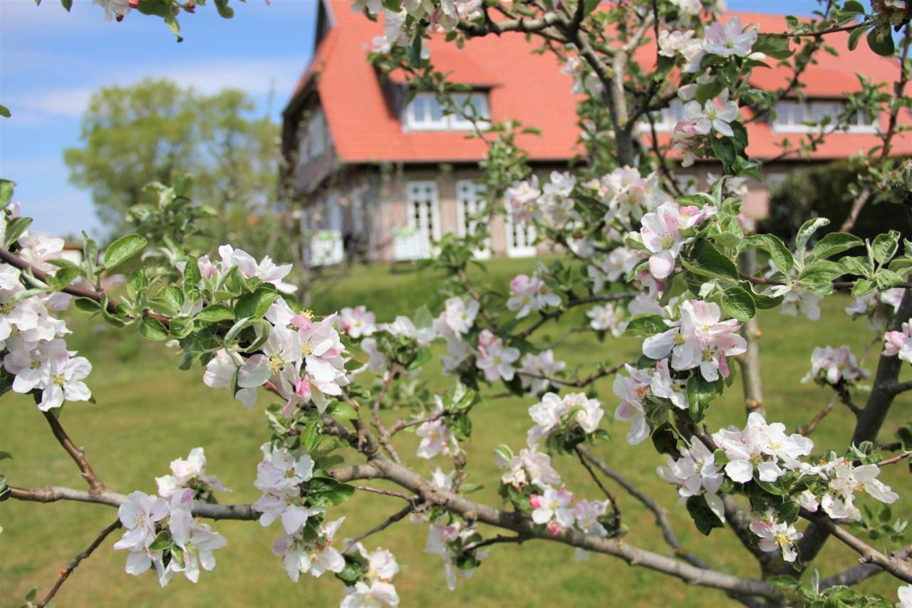 Landhaus Fuenfseen Exteriör bild